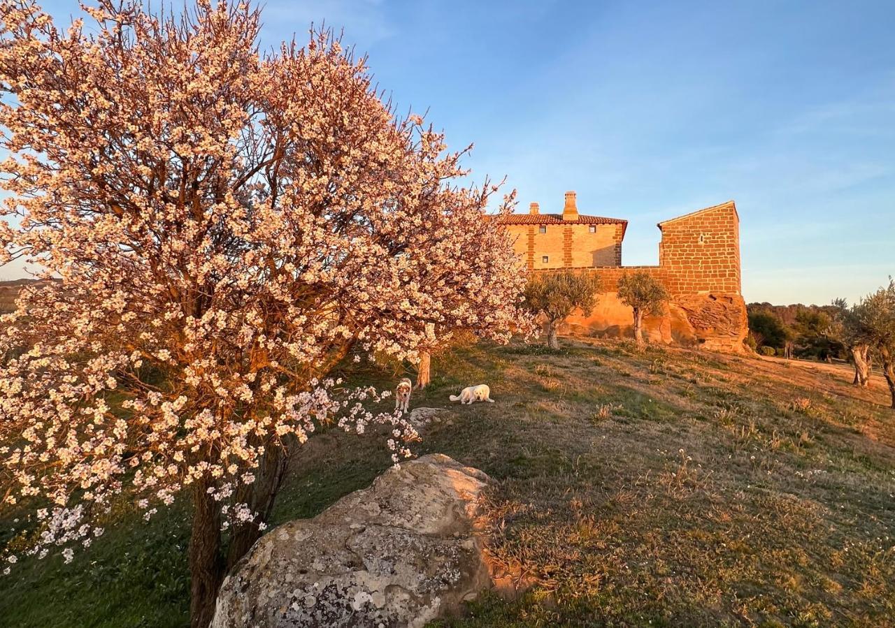 Castillo De Corvinos Huesca Exterior photo